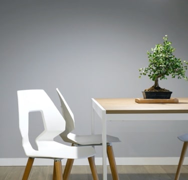 2 white chairs and a table with plant